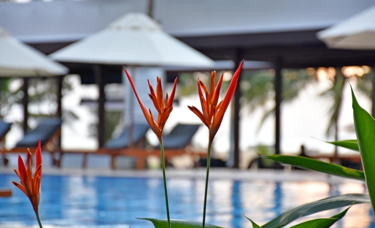 होटल Goldi Sands Negombo